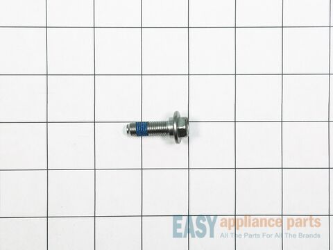 Washer Washplate Screw – Part Number: W10752187