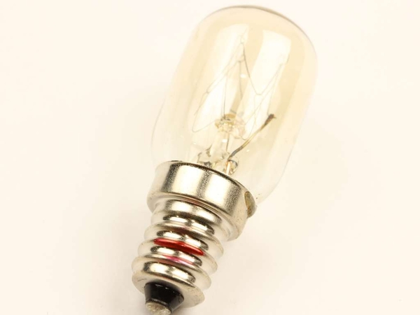 Light Bulb – Part Number: 6913EL3001E