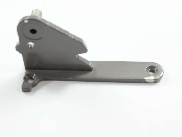 Center Hinge - Apollo Gray - Left Side – Part Number: WP13000001AP