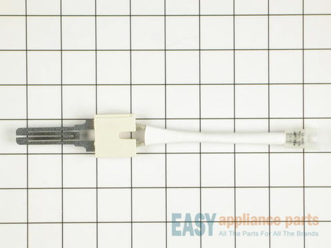Igniter with Wire Harness – Part Number: WP31001556