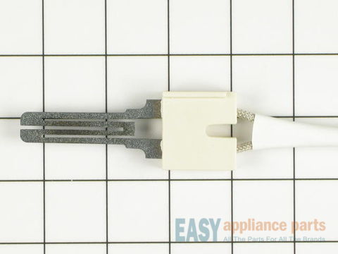 Igniter with Wire Harness – Part Number: WP31001556
