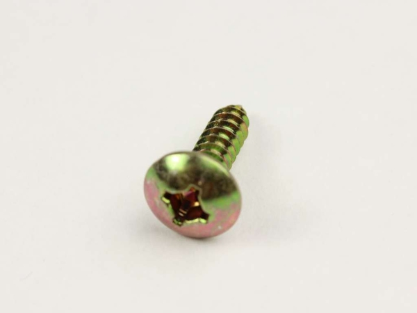 Cabinet Mount Screw – Part Number: WP489491
