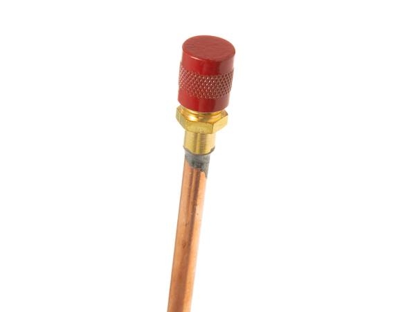 R600 PROCESS VALVE W/ RED CAP – Part Number: WR87X30876