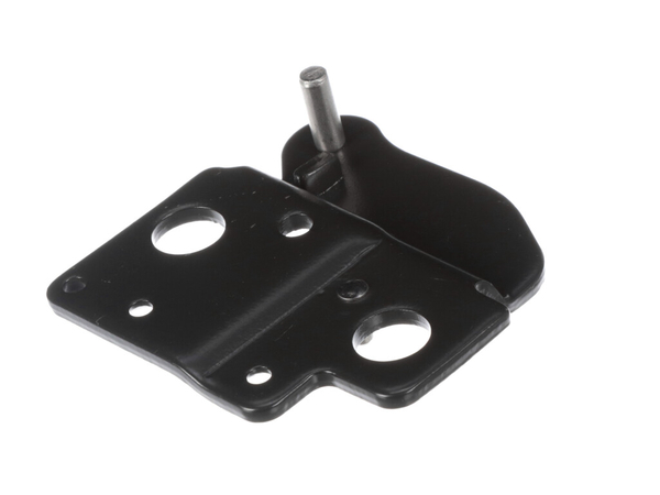 OUTER DOOR LOWER HINGE – Part Number: WR14X31793
