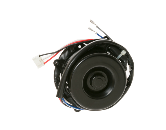 OUT DOOR FAN MOTOR (CP) – Part Number: WP94X10253