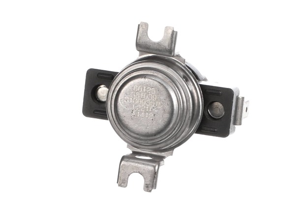 THERMOSTAT – Part Number: 318003616