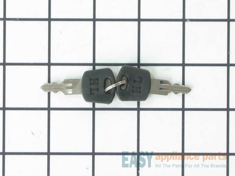 Key - Set of Two – Part Number: 11001081