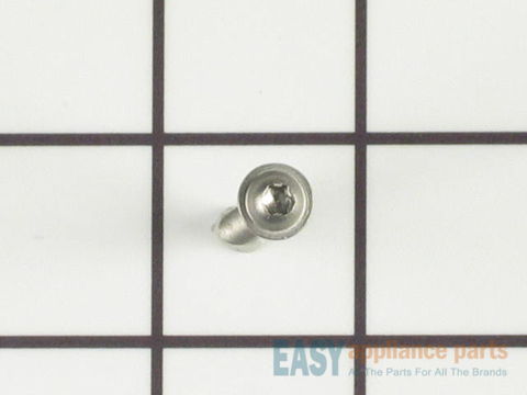Secondary Filter Screw DISCONTINUED – Part Number: 99001790