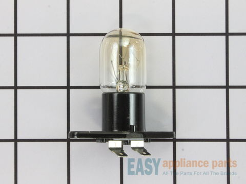 LAMP AND SOCKET – Part Number: WB36X10343