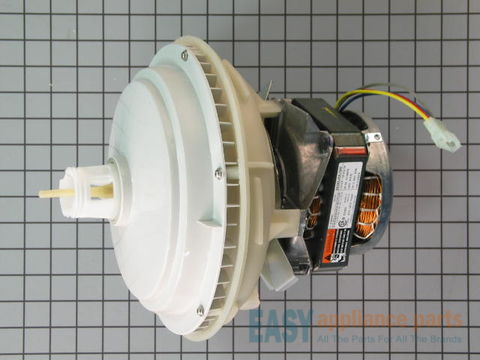 Motor and Pump Assembly – Part Number: 6-904608