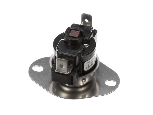 THERMOSTAT – Part Number: 318003634