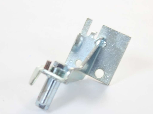 Lower Hinge with Screw - Right Side – Part Number: 241918001