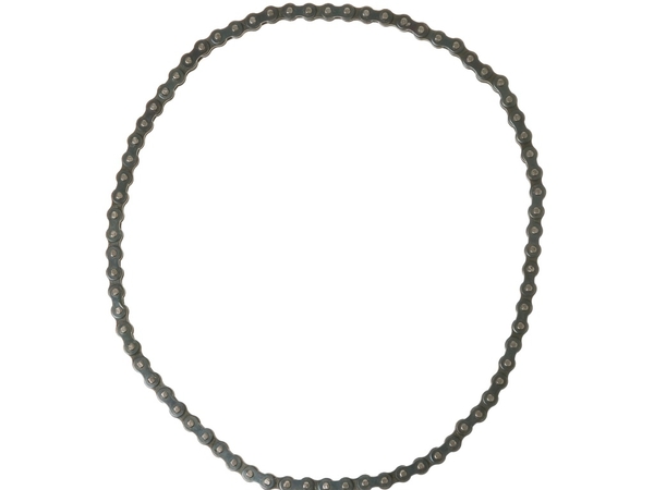 Drive Chain – Part Number: WC22X5021