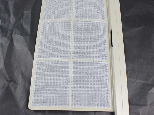 Air Filter - Right Side – Part Number: WP85X10004