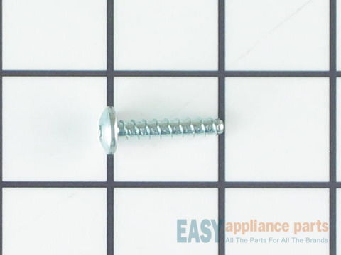 Mounting Screw – Part Number: 154103702