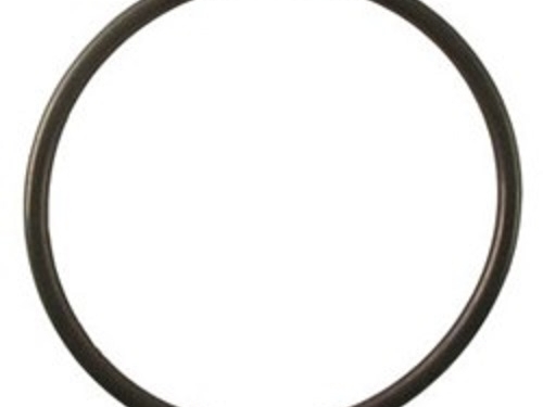 Water Filter O-Ring – Part Number: 218720100
