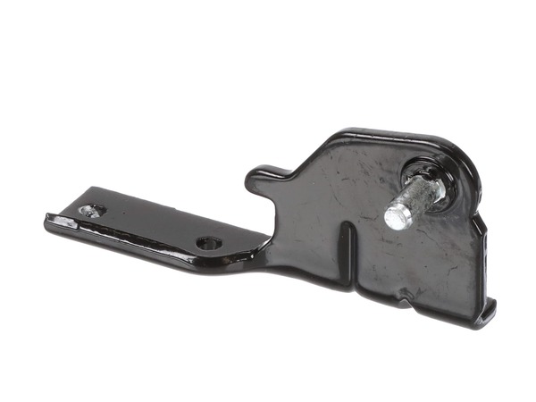 HINGE Assembly, CENTER – Part Number: AEH73856204