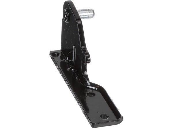 HINGE Assembly, CENTER – Part Number: AEH73856204