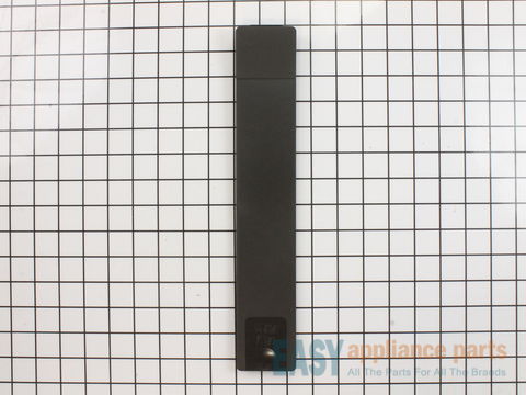 FILTER DOOR Assembly DGY – Part Number: WR02X13742