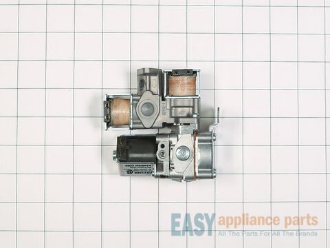 Gas Valve Assembly – Part Number: WE01X10201