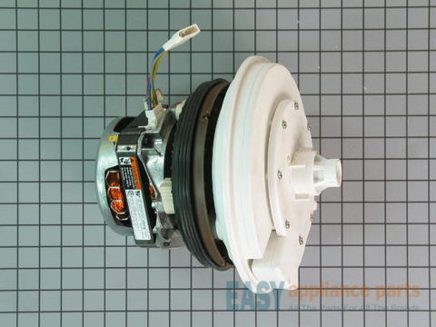 Pump and Motor Assembly – Part Number: 675748A