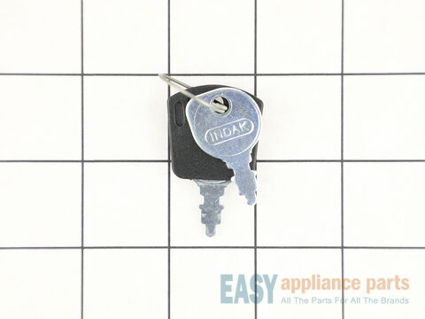Key, Switch – Part Number: 1717163SM
